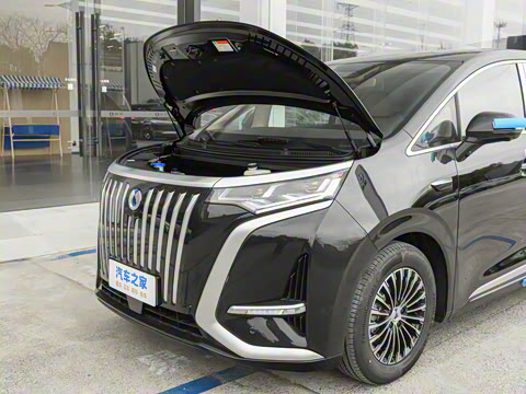 2025�� EV ��������