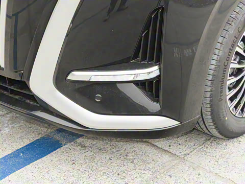 2025�� EV ��������