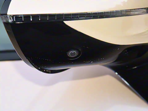 2025�� Max �����