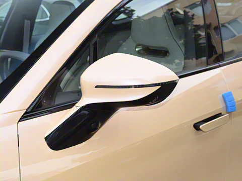 2025�� Max �����