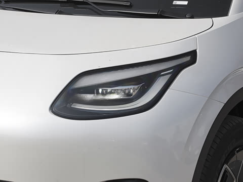 2025�� 420������