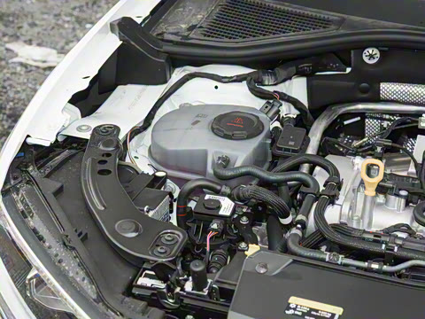 2025�� 300TSI DSG���������