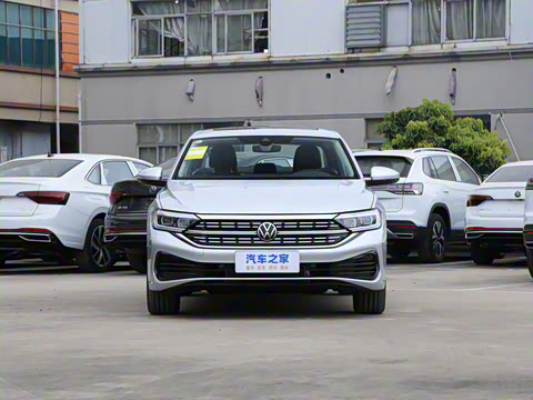 2025�� 300TSI DSG׿Խ��