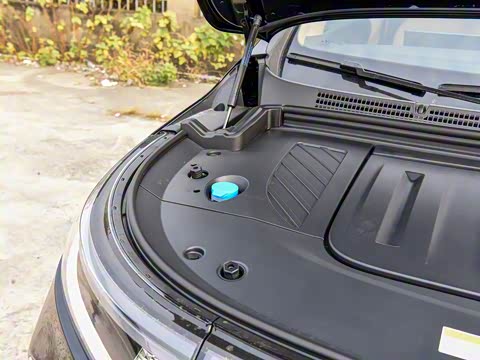 2025�� EV �������������