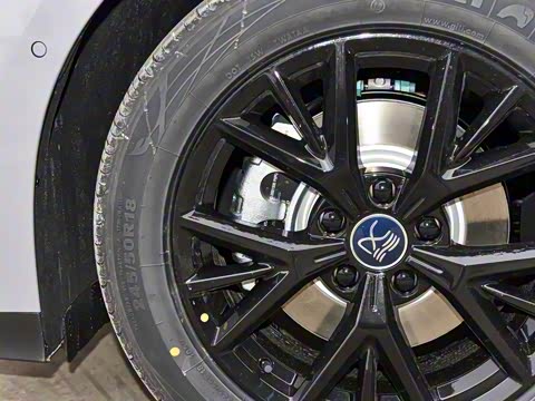 2025�� DM-i �Ǽݰ� 125KM������