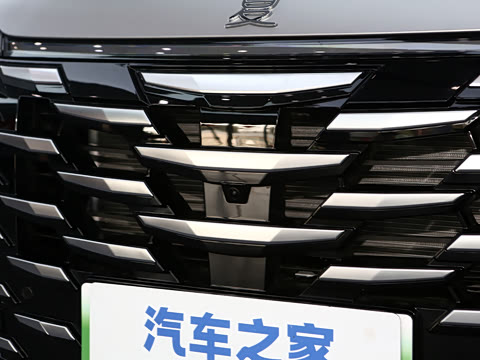 2025�� DM-i 1.5T 180km ��Խ��