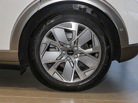 2024�� ���������������