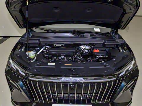 2025�� ���ն��� 1.5T �����