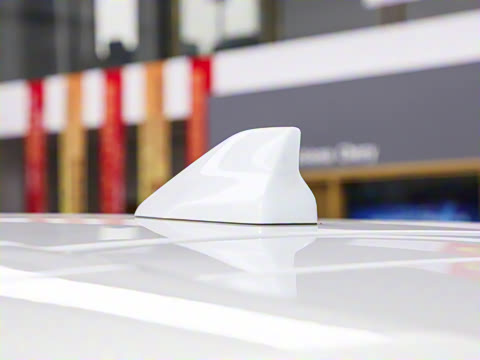 2025�� 290TGDI DCT������ 7��