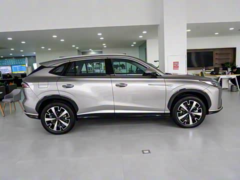 2024�� 135�콢��