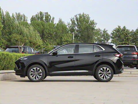 2025�� 25T �׽��