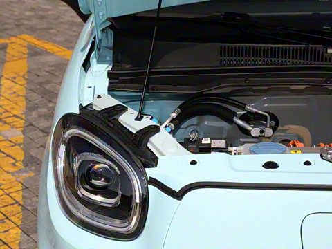 2025�� 310������