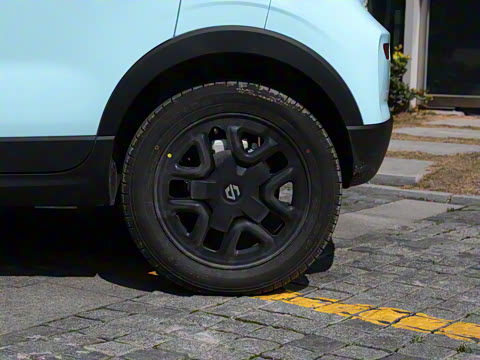 2025�� 310������