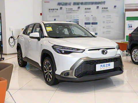 2024�� 2.0L ���ܵ��˫�� ������