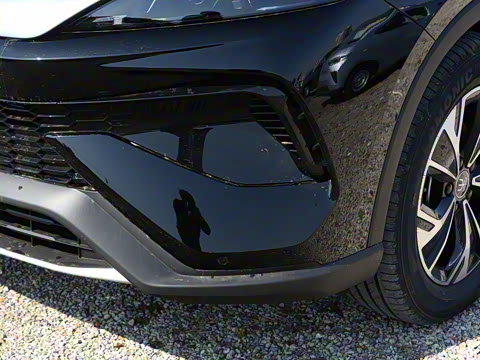 2025�� �ڶ��� DM-i 115KM��Խ��