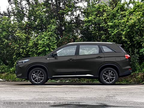 2024�� ��ҫ�� 100KM������ 5��