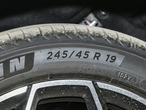 2025�� �������̰� 230�콢��