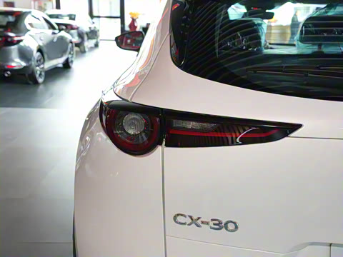 2024�� 2.0L �ֶ�������