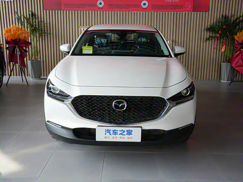 2024�� 2.0L �ֶ�������