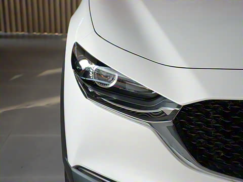 2024�� 2.0L �ֶ�������