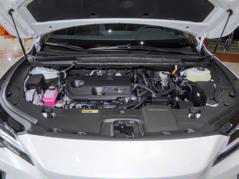 2025�� 350h ����������