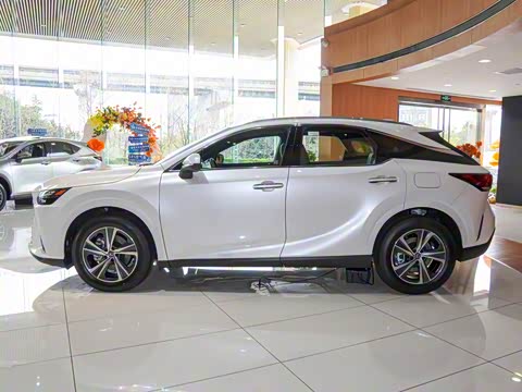 2025�� 350h ����������