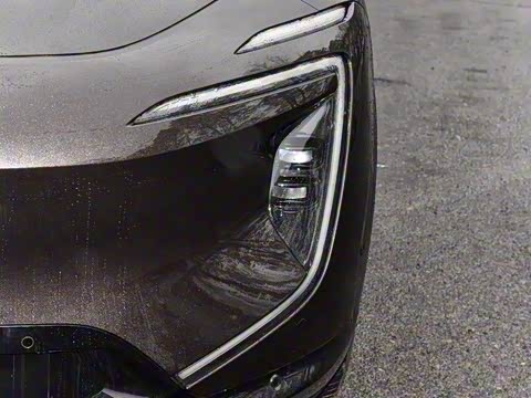 2024�� Max���������