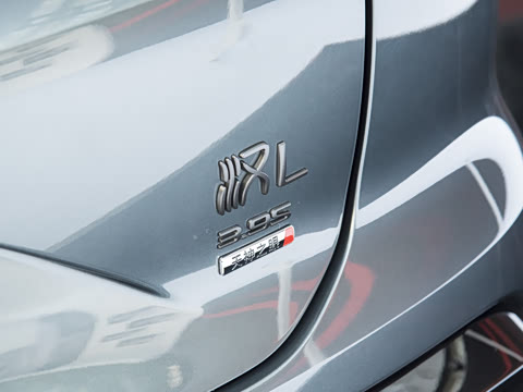 2025�� DM-p ���������״��콢��