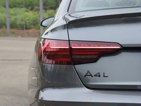 2025�� 200���������� 45 TFSI quattro ��ѡ������