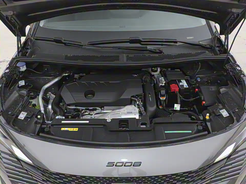 2025�� ������