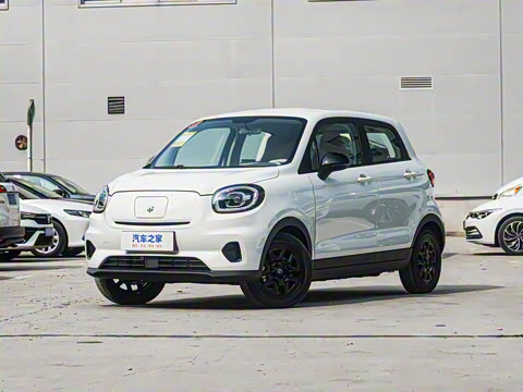 2025�� 310������