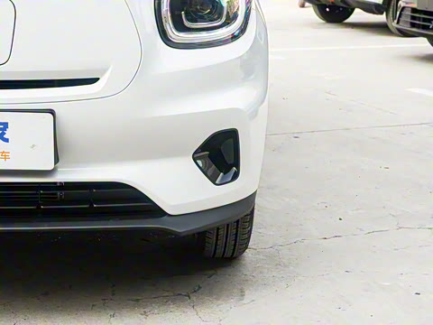 2025�� 310������