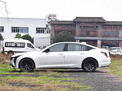 2025�� 28T �������ܰ�