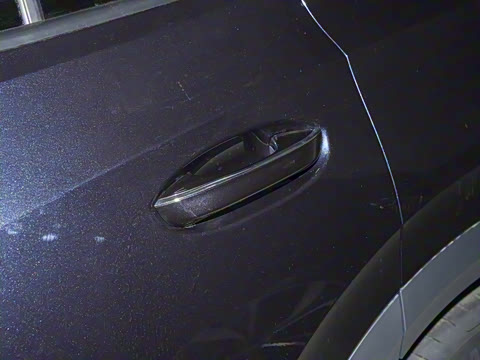 2025�� 380TSI ���������Ѿ�Pro  ������ 6��