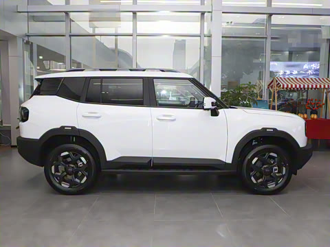 2025�� 2.0TD XWD����