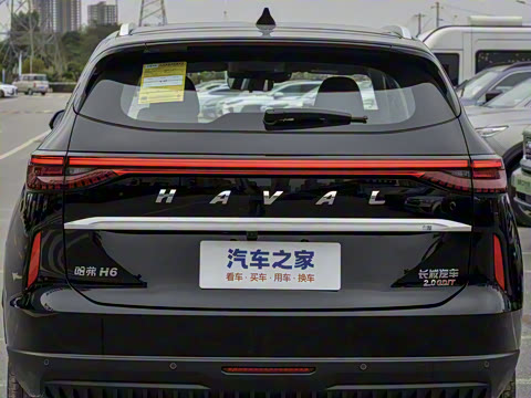 2024�� ������ 2.0T �Զ�����Max