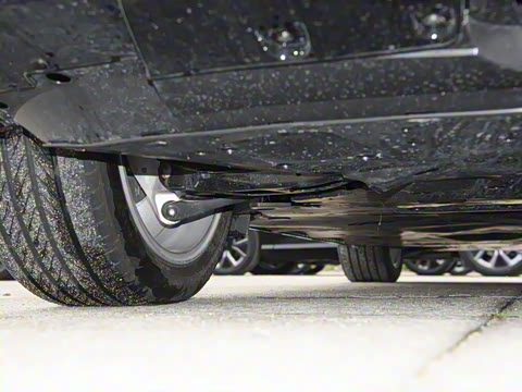 2025�� ����������Max