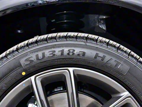 2025�� 165km ������������ 5��