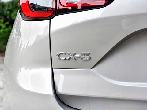 2025�� 2.0L �Զ���������Pro