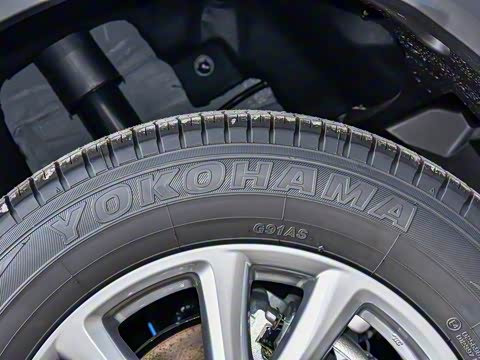 2025�� 2.0L �Զ���������Pro