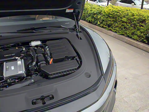 2025�� DM-p ���������״��콢��