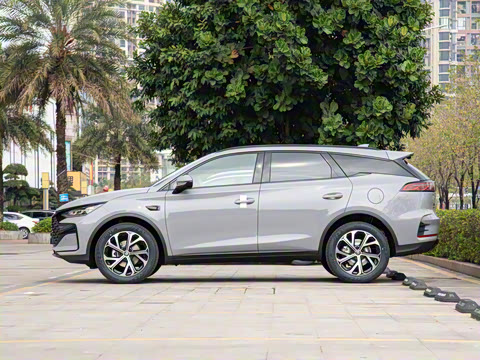 2025�� �Ǽݰ� DM-i 115KM �����