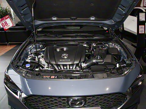 2023�� 2.0L �Զ������