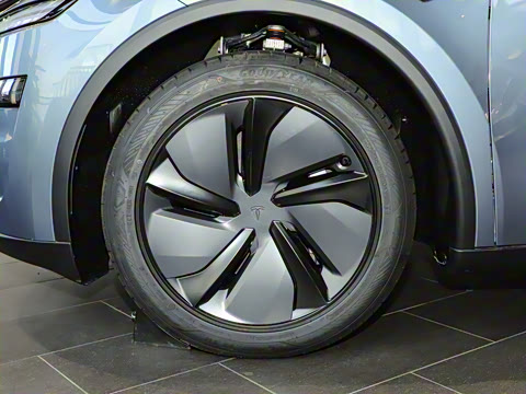 2025�� �������� �׷���