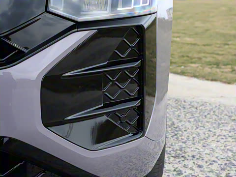 2025�� ;�� Pro 450TSI �����ݺ��