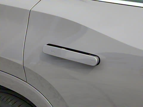 2025�� ;�� Pro 450TSI �����ݺ��