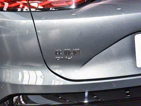 2025�� DM-i 200KM�����״��콢��