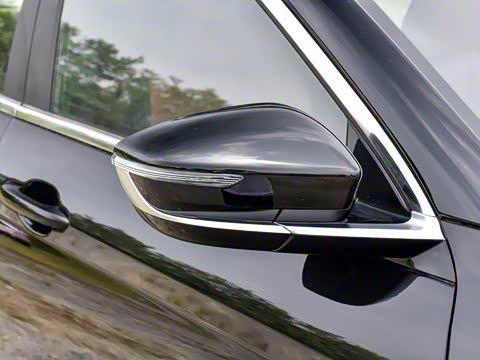 2024�� �ھ��� 1.5T �ֶ��ھ� 5��