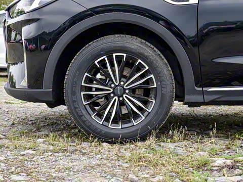 2024�� �ھ��� 1.5T �ֶ��ھ� 5��