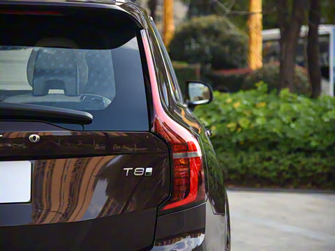 2025�� �Ŀ� T8 ��������� 7��